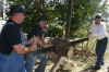 Cross Cut Saw